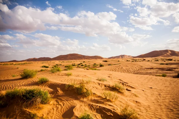 Suchy Krajobraz Wydmy Saharze Maroko — Zdjęcie stockowe