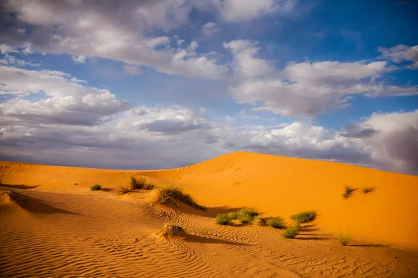 Paesaggio Asciutto Dune Nel Deserto Del Sahara Marocco — Foto Stock