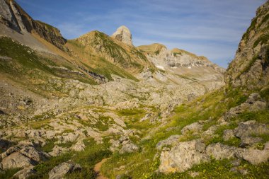 Aguas Tuertas ve Ibon De Estanes, Pyrenees, İspanya yakınlarındaki yaz manzarası