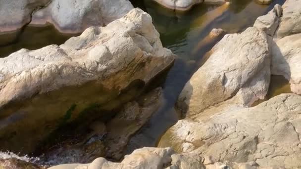 Sommerszene Auf Der Mittelalterlichen Brücke Von Llierca Garrotxa Girona Spanien — Stockvideo