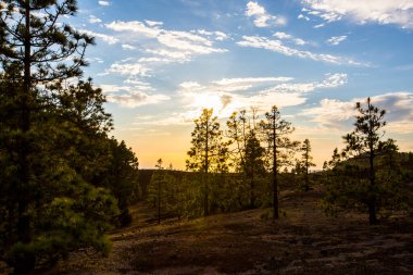 Llano del Jable 'da bahar günbatımı, La Palma Adası, Kanarya Adaları, İspanya.