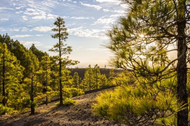 Llano del Jable 'da bahar günbatımı, La Palma Adası, Kanarya Adaları, İspanya.
