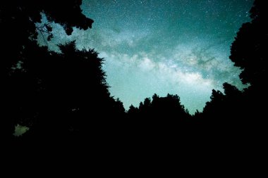 Samanyolu El Pilar Ormanı, La Palma Adası, Kanarya Adaları, İspanya.