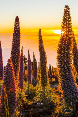 Günbatımı Caldera De Taburiente, La Palma Adası, Kanarya Adaları, İspanya
