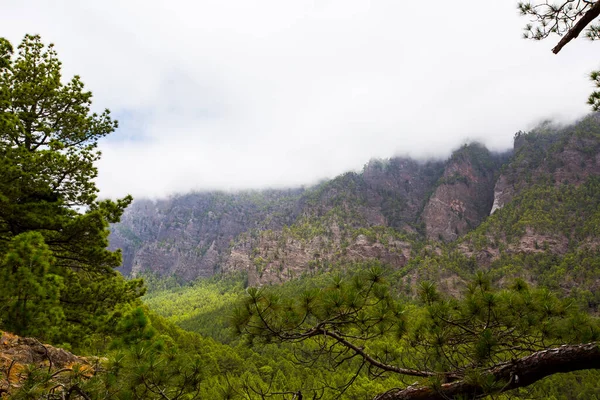 Spring Cumprecita Caldera Taburiente Palma Island Canary Islands Spain — Stock Photo, Image