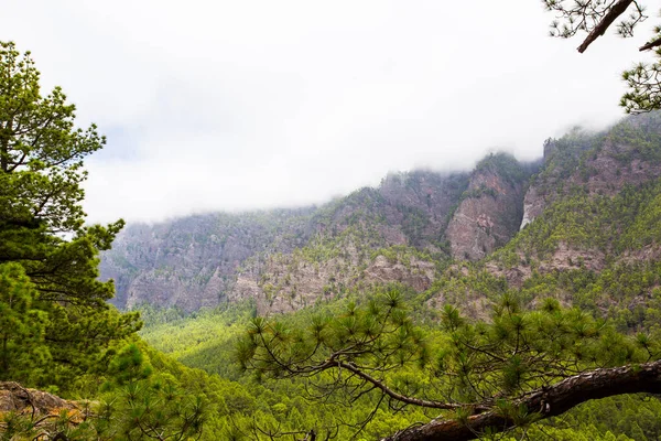 Printemps Cumprecita Caldera Taburiente Île Palma Îles Canaries Espagne — Photo