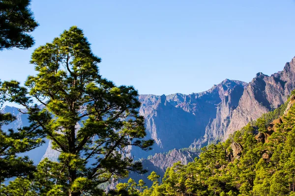 Spring Cumprecita Caldera Taburiente Palma Island Canary Islands Spain — Stock Photo, Image