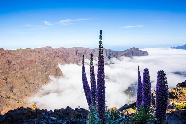 Spring Sunset Caldera Taburiente Palma Island Canary Islands Spain — Stock Photo, Image