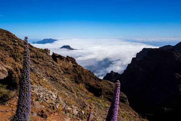 Spring Sunset Caldera Taburiente Palma Island Canary Islands Spain — Stock Photo, Image