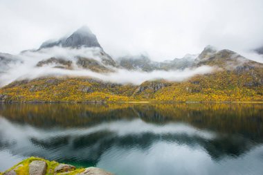 Lofoten Adaları 'ndaki sonbahar manzarası ve plajı. Norveç