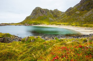 Lofoten Adaları 'ndaki sonbahar manzarası ve plajı. Norveç