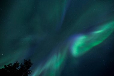 Kuzey ışıkları Kiruna, Laponya, Kuzey İsveç.