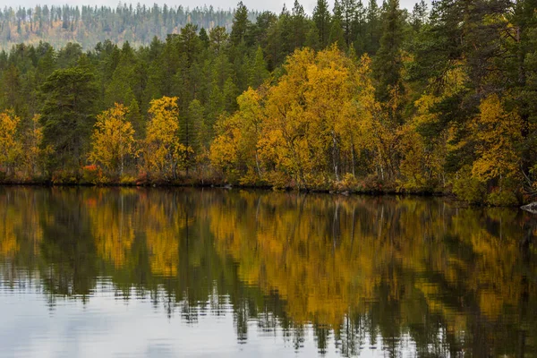 Осінній Пейзаж Муоніо Лапландія Північна Фінляндія — стокове фото