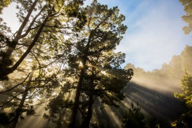 Caldera de Taburiente 'de bahar günbatımı, La Palma Adası, Kanarya Adaları, İspanya