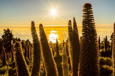Günbatımı Caldera De Taburiente, La Palma Adası, Kanarya Adaları, İspanya