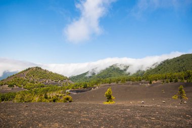 Caldera De Taburiente 'de bulutlar, La Palma Adası, Kanarya Adaları, İspanya
