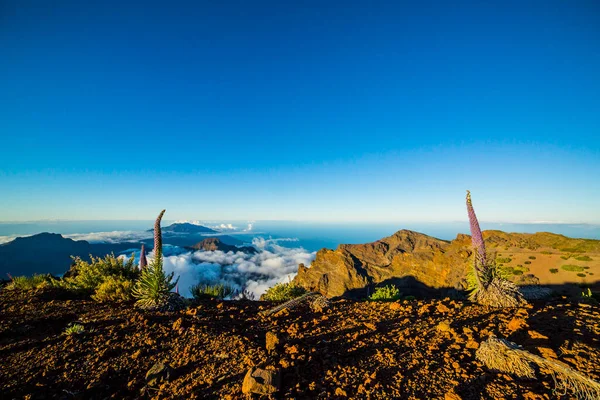 Sunrise Roque Los Muchachos Palma Island Canary Islands Spain — Stock Photo, Image