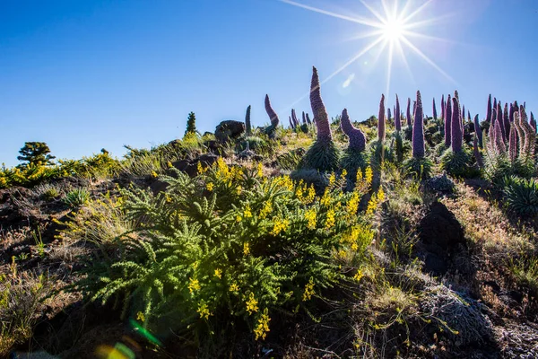 Günbatımı Caldera De Taburiente, La Palma Adası, Kanarya Adaları, İspanya