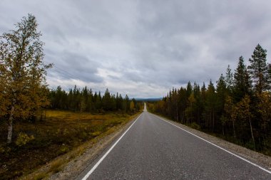 Muonio, Laponya, Finlandiya 'da sonbahar manzarası