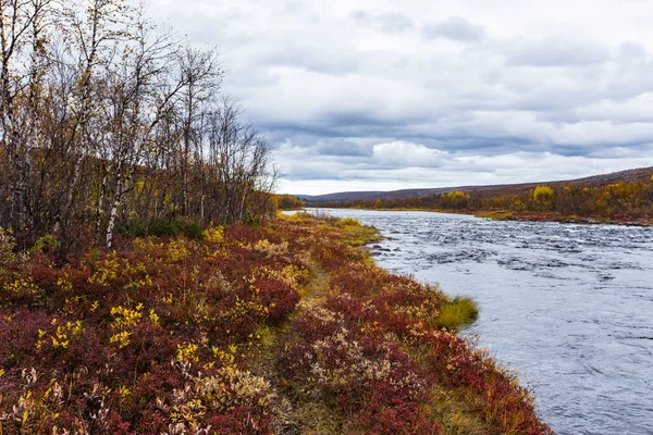 Paisagem Outono Tundra Norte Noruega Europa — Fotografia de Stock