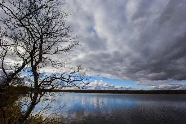 Paesaggio Autunnale Nella Tundra Norvegia Settentrionale Europa — Foto Stock