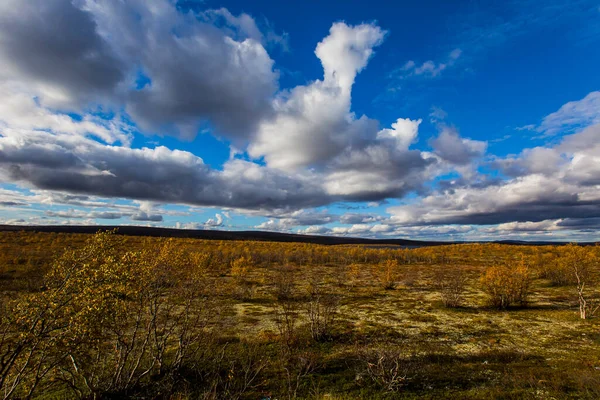 Höstlandskap Tundra Nordnorge Europa — Stockfoto