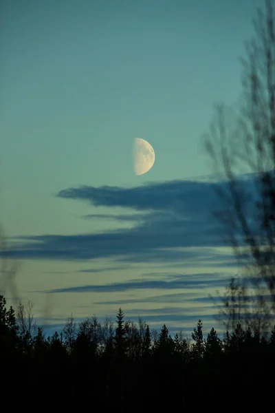 Herfstlandschap Muonio Lapland Finland — Stockfoto