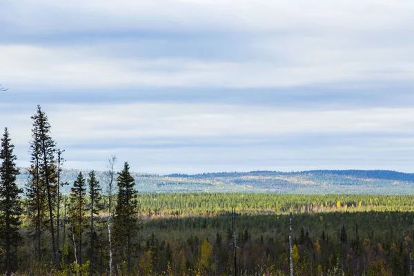 Осінній Пейзаж Муоніо Лапландія Фінляндія — стокове фото