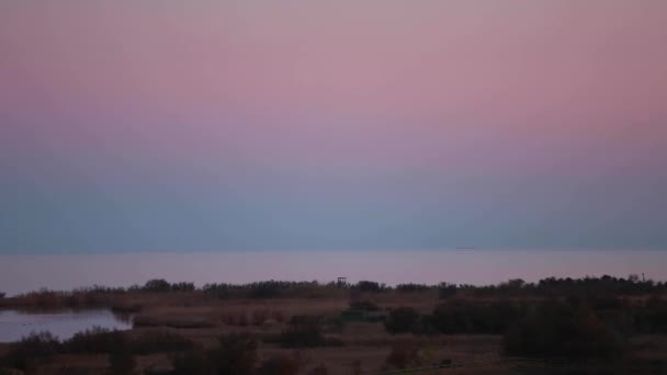 Mordet Starlings Aiguamolls Emporda Nature Park Spanien — Stockvideo