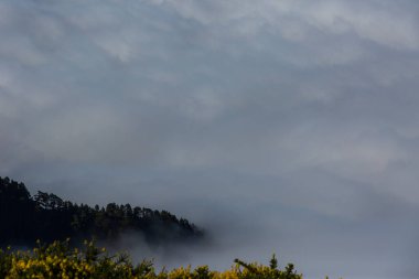 Caldera de Taburiente 'de bahar günbatımı, La Palma Adası, Kanarya Adaları, İspanya