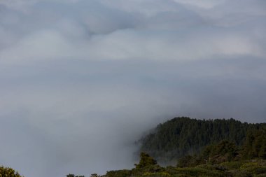 Caldera de Taburiente 'de bahar günbatımı, La Palma Adası, Kanarya Adaları, İspanya