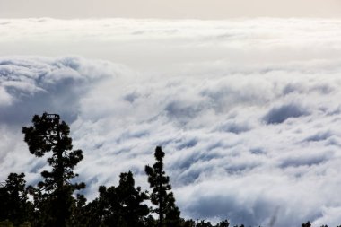 Caldera de Taburiente 'de bahar günbatımı, La Palma Adası, Kanarya Adaları, İspanya