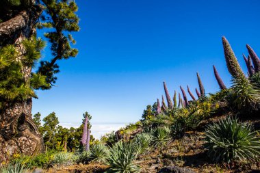 Günbatımı Caldera De Taburiente, La Palma Adası, Kanarya Adaları, İspanya