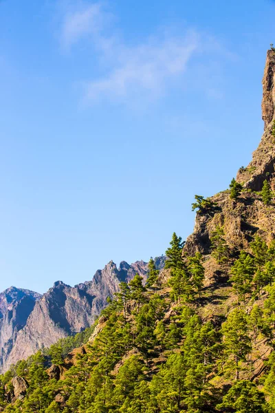 Весна Cumprecita Caldera Taburiente Остров Пальма Канарские Острова Испания — стоковое фото