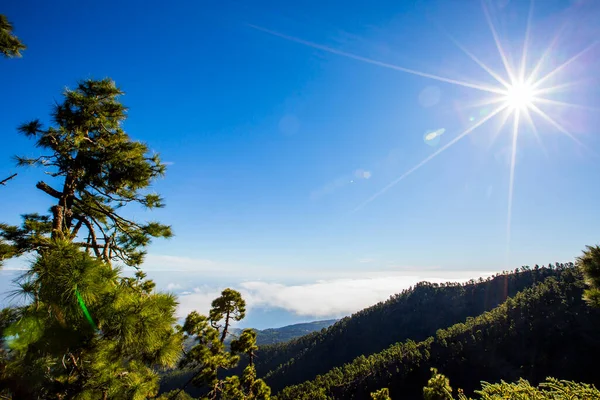 Alba Roque Los Muchachos Isola Palma Isole Canarie Spagna — Foto Stock