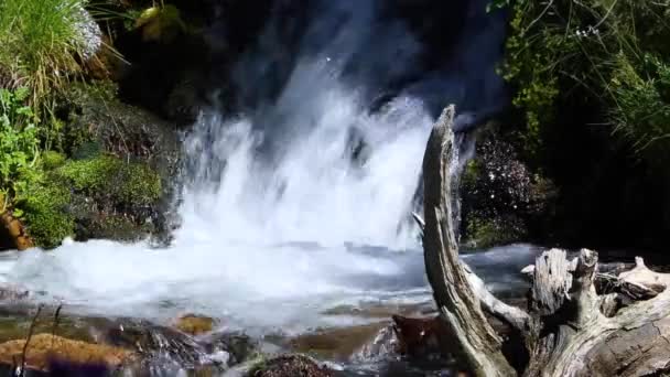 Guils Cerdanya Yaz Nehri Girona Spanya — Stok video