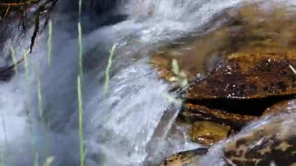 Río Verano Guils Cerdanya Girona Gerona España — Vídeo de stock