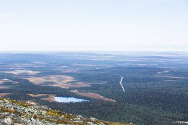 Yllas Pallastunturi Ulusal Parkı, Laponya, Finlandiya 'daki ren geyikleri