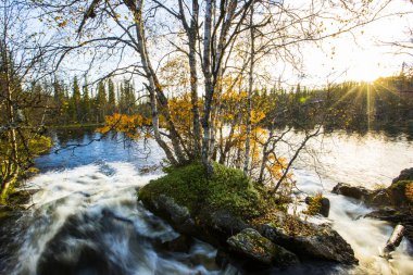 Muonio, Laponya, Finlandiya 'da sonbahar manzarası