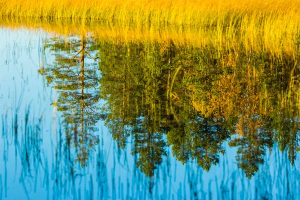 Paesaggio Autunnale Muonio Lapponia Finlandia — Foto Stock