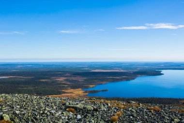 Finlandiya 'daki Yllas Pallastunturi Ulusal Parkı' nda sonbahar manzarası