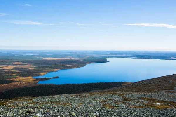 Paisagem Outono Parque Nacional Yllas Pallastunturi Finlândia — Fotografia de Stock