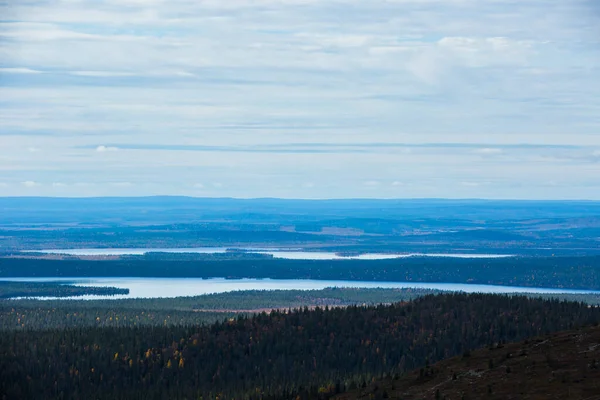 Paisaje Otoñal Parque Nacional Yllas Pallastunturi Finlandia —  Fotos de Stock