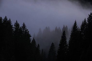 Dolomites dağlarında gün batımı, Alpler, kuzey İtalya. Avrupa