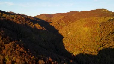 Puigsacalm Tepesi, La Garrotxa, Girona, İspanya 'daki sonbahar manzarasının insansız hava aracı görüntüsü. 4K UHD