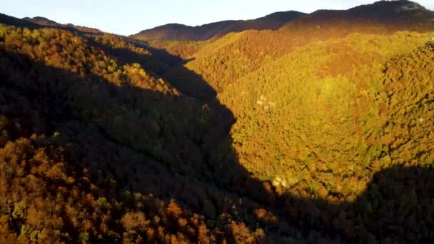 Luchtfoto Met Drone Van Het Herfstlandschap Puigsacalm Peak Garrotxa Girona — Stockvideo