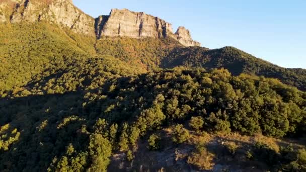 Puigsacalm Tepesi Garrotxa Girona Spanya Daki Sonbahar Manzarasının Insansız Hava — Stok video