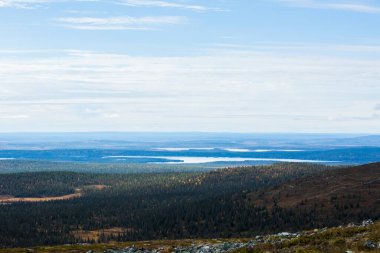 Finlandiya 'daki Yllas Pallastunturi Ulusal Parkı' nda sonbahar manzarası