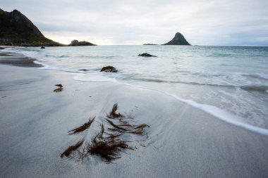 Lofoten Adaları 'ndaki sonbahar manzarası ve plajı. Norveç
