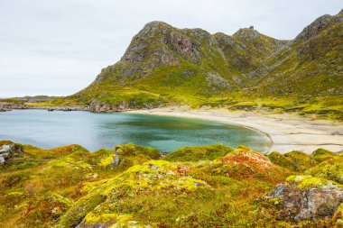 Lofoten Adaları 'ndaki sonbahar manzarası ve plajı. Norveç